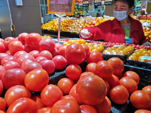 深圳強(qiáng)化食用農(nóng)產(chǎn)品質(zhì)量安全監(jiān)管 批發(fā)市場(chǎng)月快檢900次，筑牢全鏈條安全防線