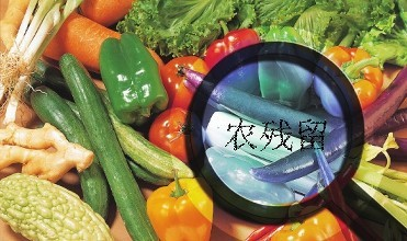 黑龍江通報(bào)4批次食用農(nóng)產(chǎn)品農(nóng)藥殘留超標(biāo)，批發(fā)環(huán)節(jié)成監(jiān)管重點(diǎn)